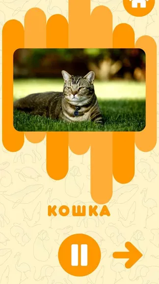Скриншот 3/6