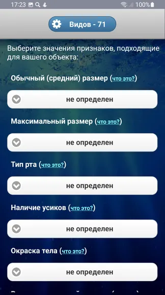 Скриншот 3/8