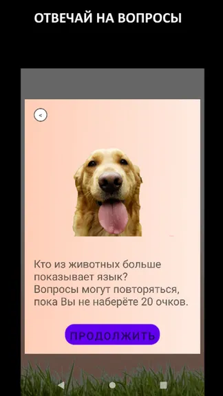 Скриншот 6/6