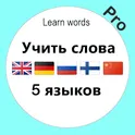 Английский язык немецкий язык … Учить слова Pro логотип