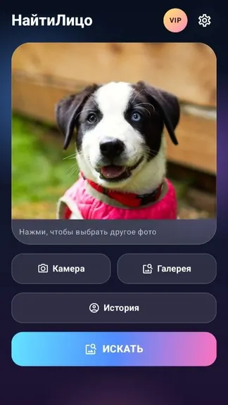 Скриншот 2/5
