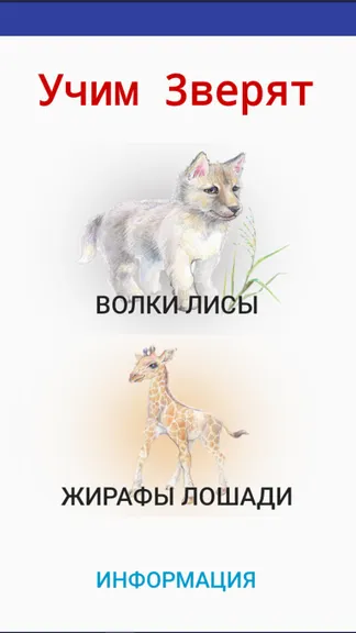 Скриншот 1/5