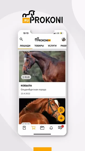 Скриншот 1/4