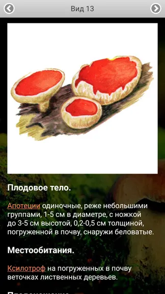 Скриншот 5/8