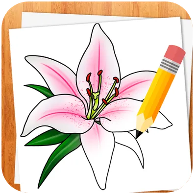 How to Draw Flowers