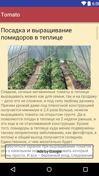 Скриншот 2/3