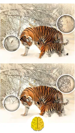 Скриншот 3/8