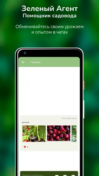 Скриншот 6/10