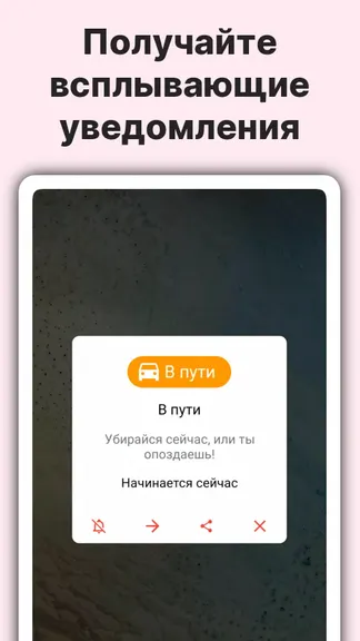 Скриншот 5/8