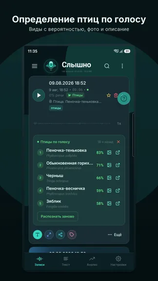 Скриншот 5/8