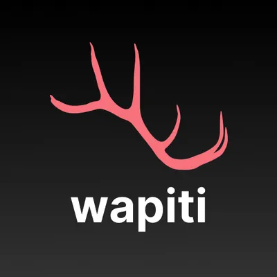 Wapiti - конвертер валют