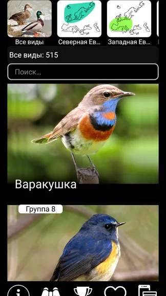 Скриншот 1/8