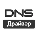 DNS Драйвер логотип