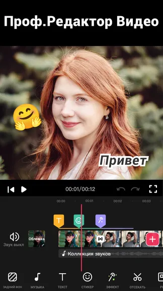 Скриншот 1/10