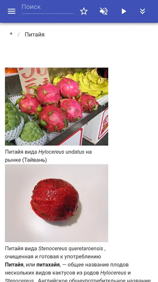 Скриншот 4/8