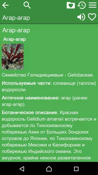 Скриншот 2/4
