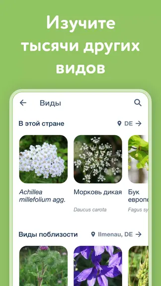 Скриншот 6/8