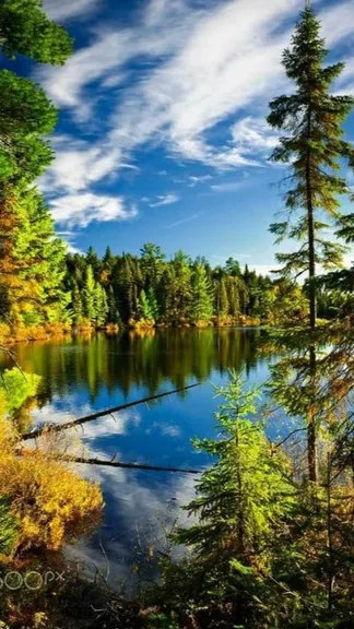 Скриншот 1/6