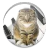 Cat piano логотип