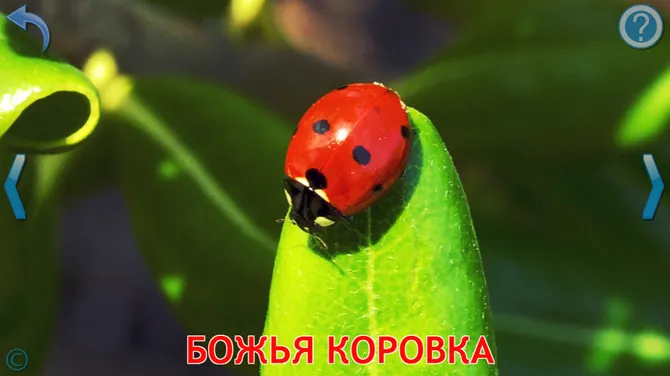 Скриншот 4/8
