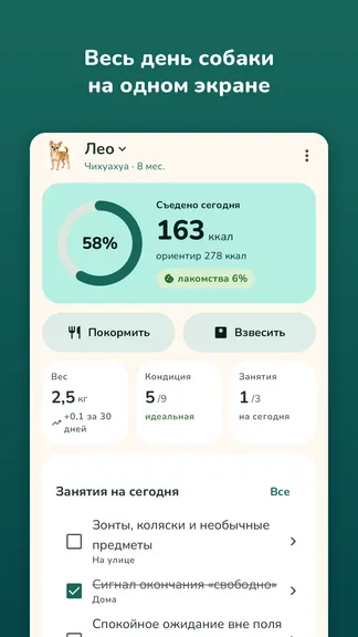 Скриншот 1/8