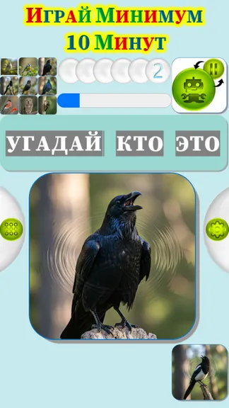 Скриншот 4/4