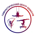 OdinGym логотип