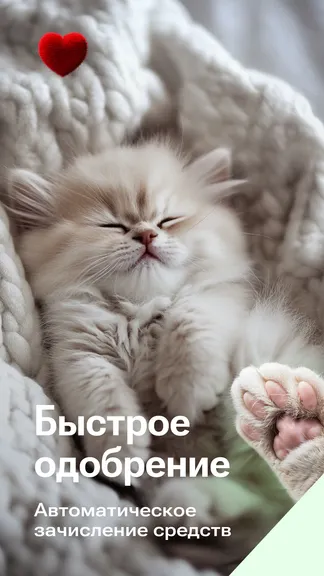 Скриншот 1/5