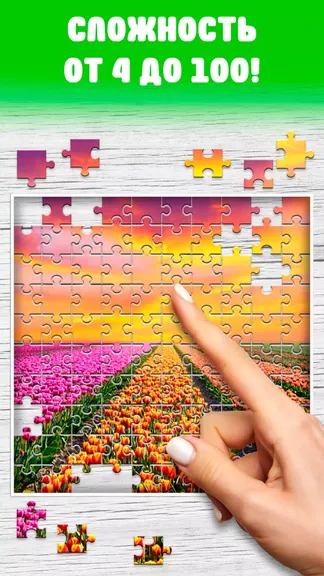 Скриншот 3/4