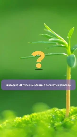 Скриншот 2/2