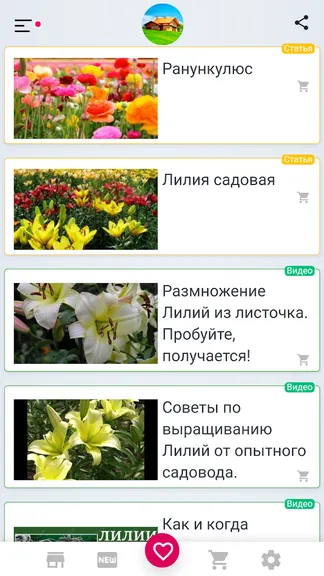 Скриншот 8/8
