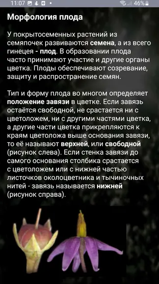 Скриншот 5/8