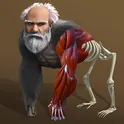 Idle evolution - Эволюция Человека  кликер 3-Д сим логотип