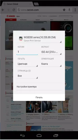 Скриншот 2/4