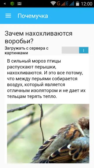 Скриншот 2/2