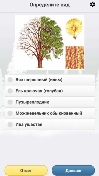 Скриншот 6/8