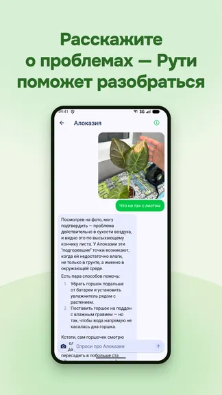 Скриншот 2/4