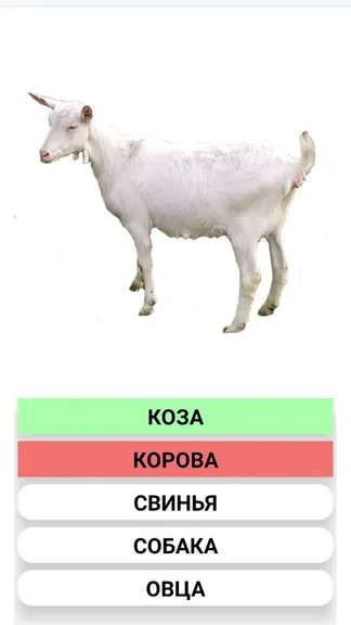 Скриншот 3/4