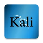 Kali Linux Installation Guide логотип