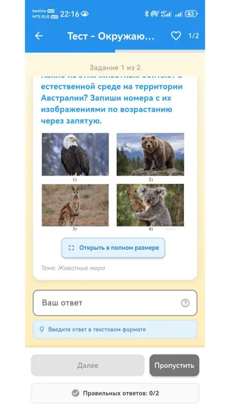 Скриншот 4/9
