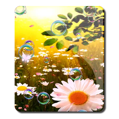 Spring Garden Live Wallpaper