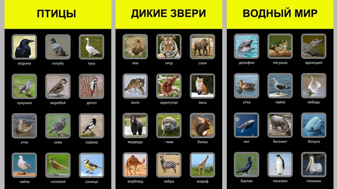 Скриншот 2/3