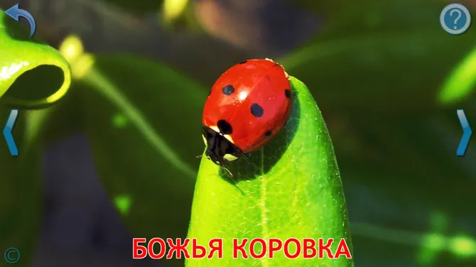 Скриншот 4/8