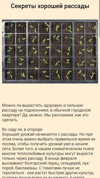 Скриншот 3/5