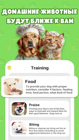 Скриншот 4/4