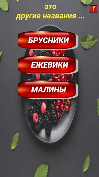 Скриншот 4/4