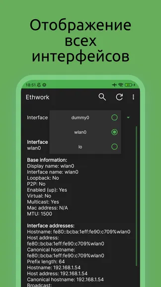 Скриншот 2/5