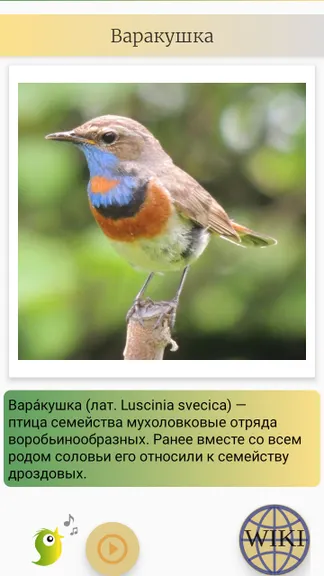 Скриншот 2/7