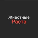 Животные Раста  логотип