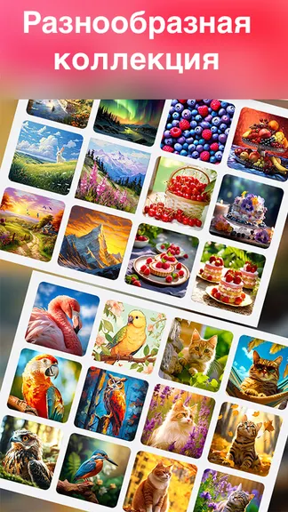 Скриншот 6/6